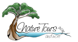 Nature Tours and More